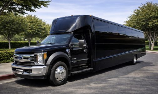 Luxury Mini Bus