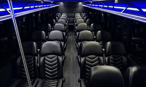 Luxury interior mini bus